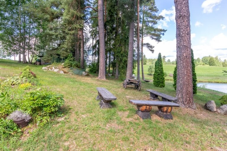 468403201_122125169978505918_5467444543147502424_n