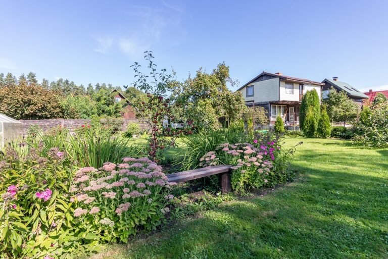 468445904_122125156208505918_5560202224996405599_n