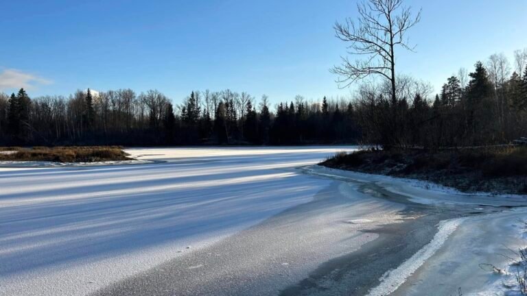 468446773_122125158602505918_4643700959153933387_n