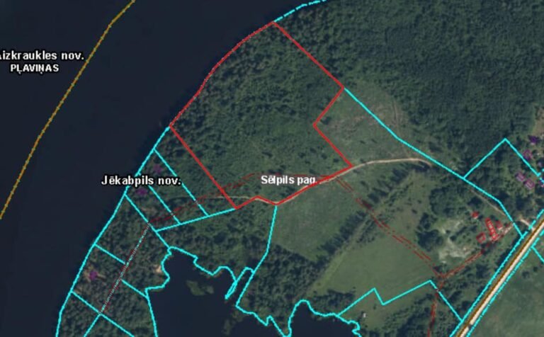 468523176_122125159100505918_4158074139237999695_n