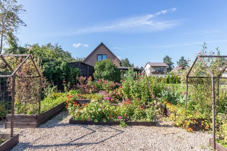 468530940_122125156640505918_7146287509201845184_n