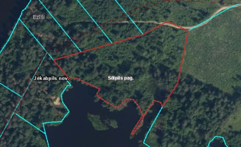 468592437_122125158500505918_4636795932598826752_n