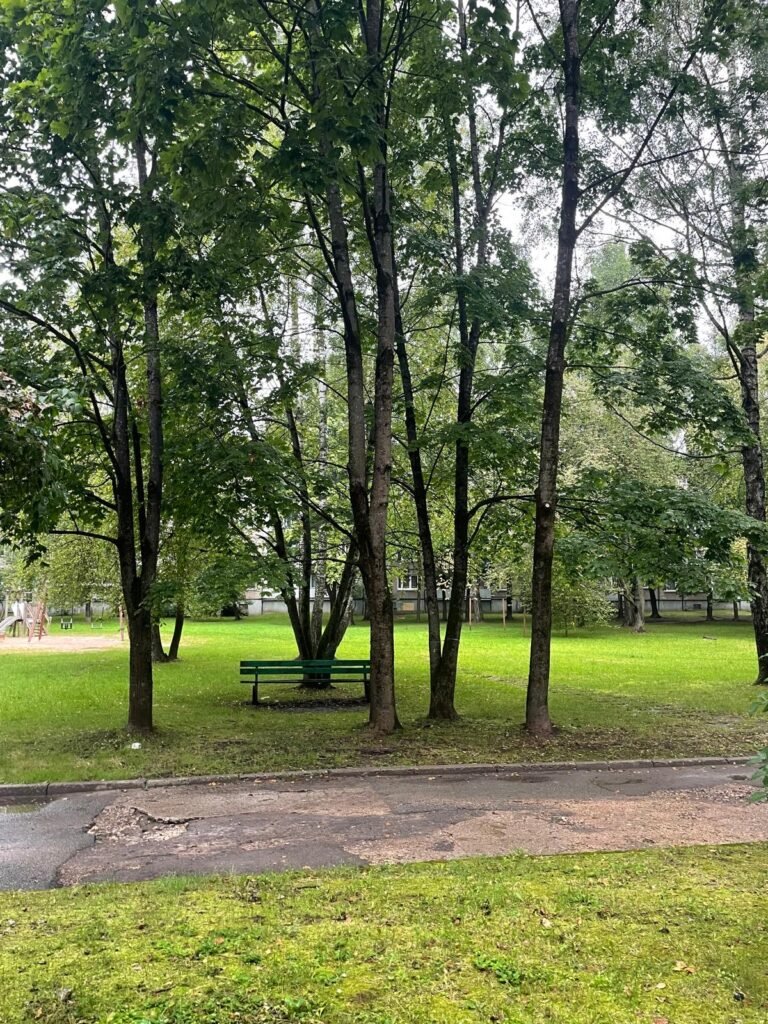 92b62b80-bd45-4e63-9e69-79c6f054cd68