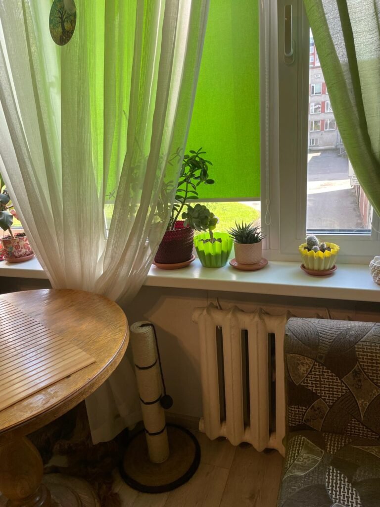 a93e6bf8-9309-48c1-b11e-6698a170a5f0