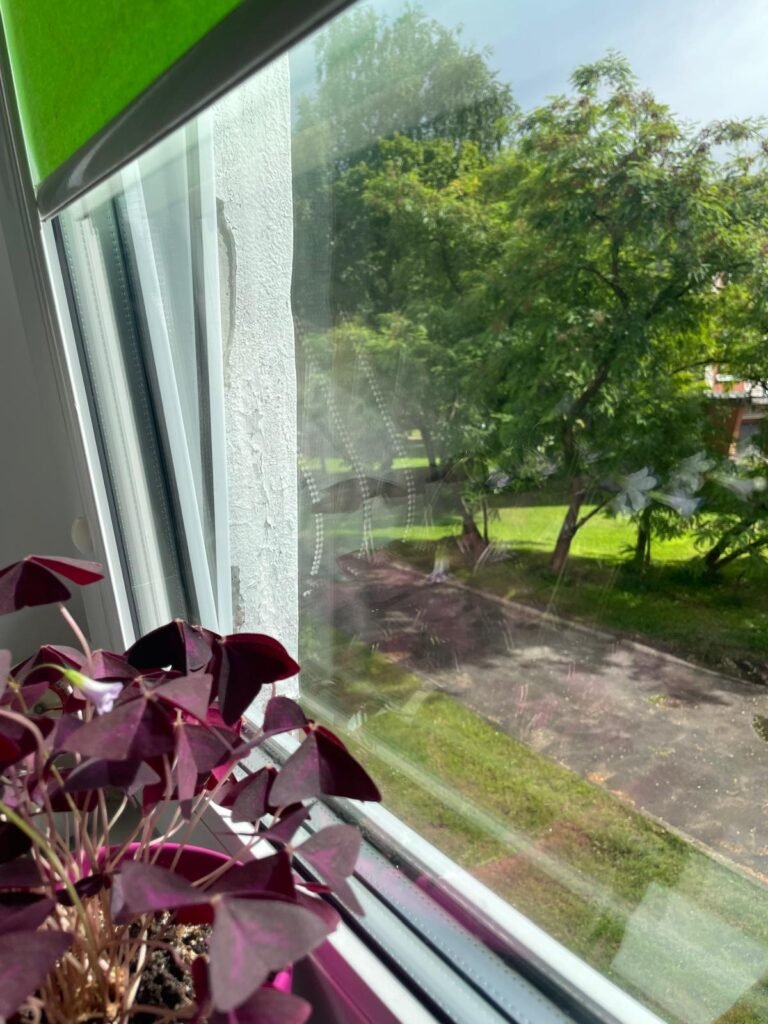 b5c55406-3027-4f26-ba0e-b379e74e9ed3