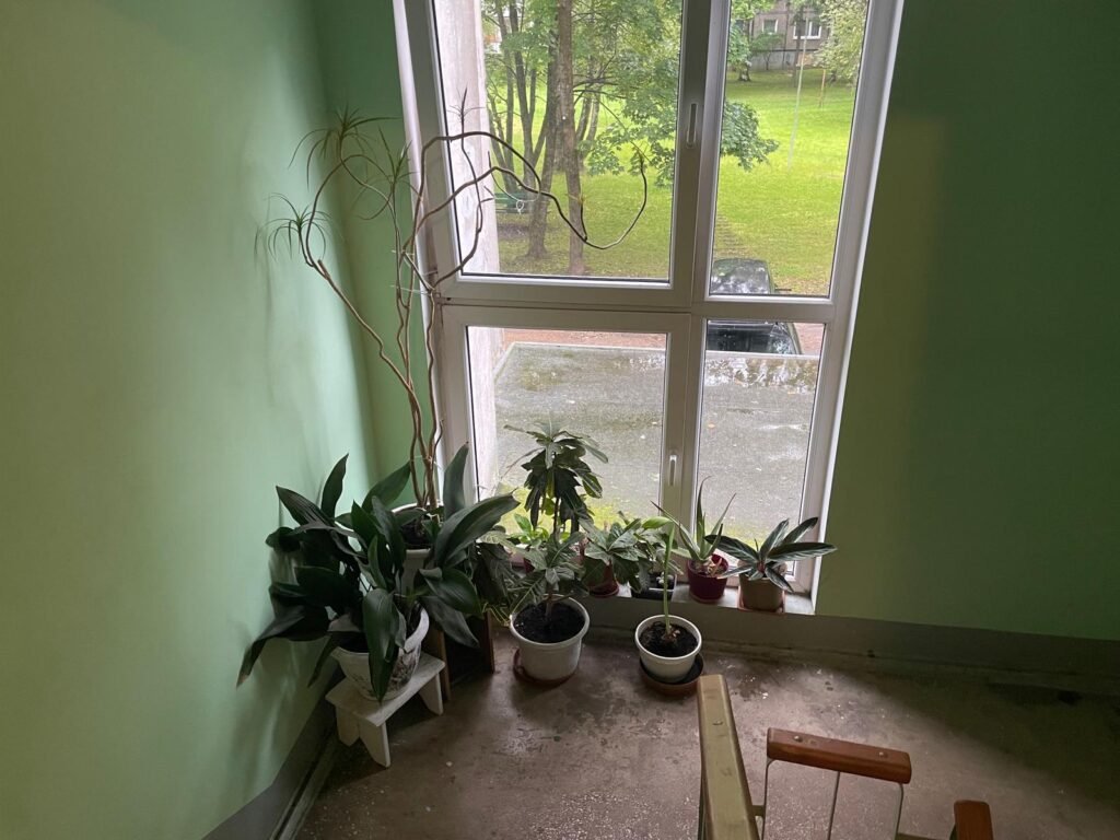 e9730aa2-3754-4f48-8bea-d0bbeafdd182