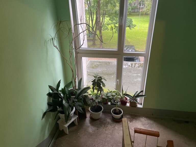 e9730aa2-3754-4f48-8bea-d0bbeafdd182