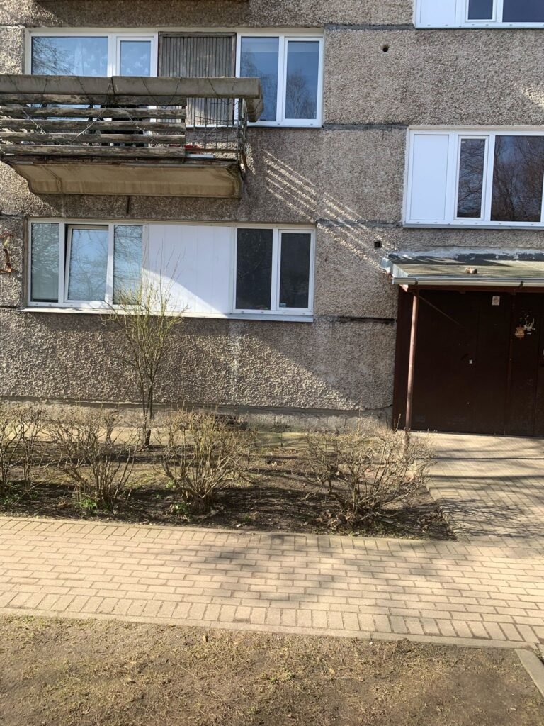 40d5a7b2-faaf-426c-a174-9cd2eb21a4b1