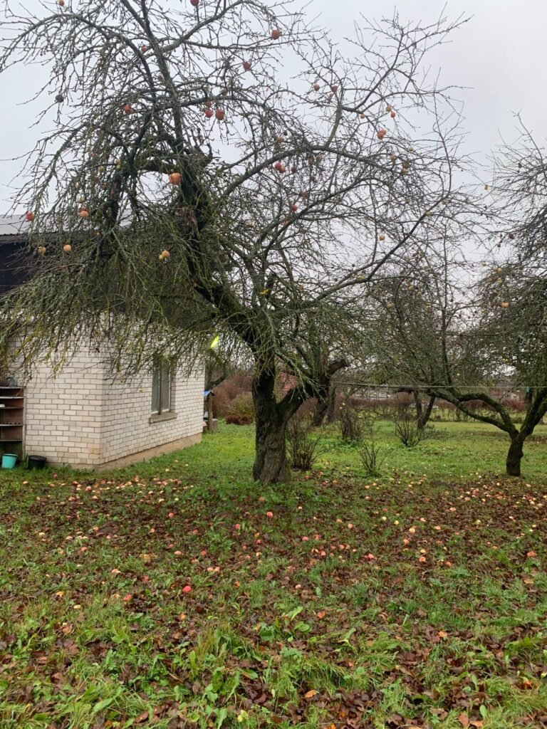 33242b42-6f0b-400a-a060-297a142b7310